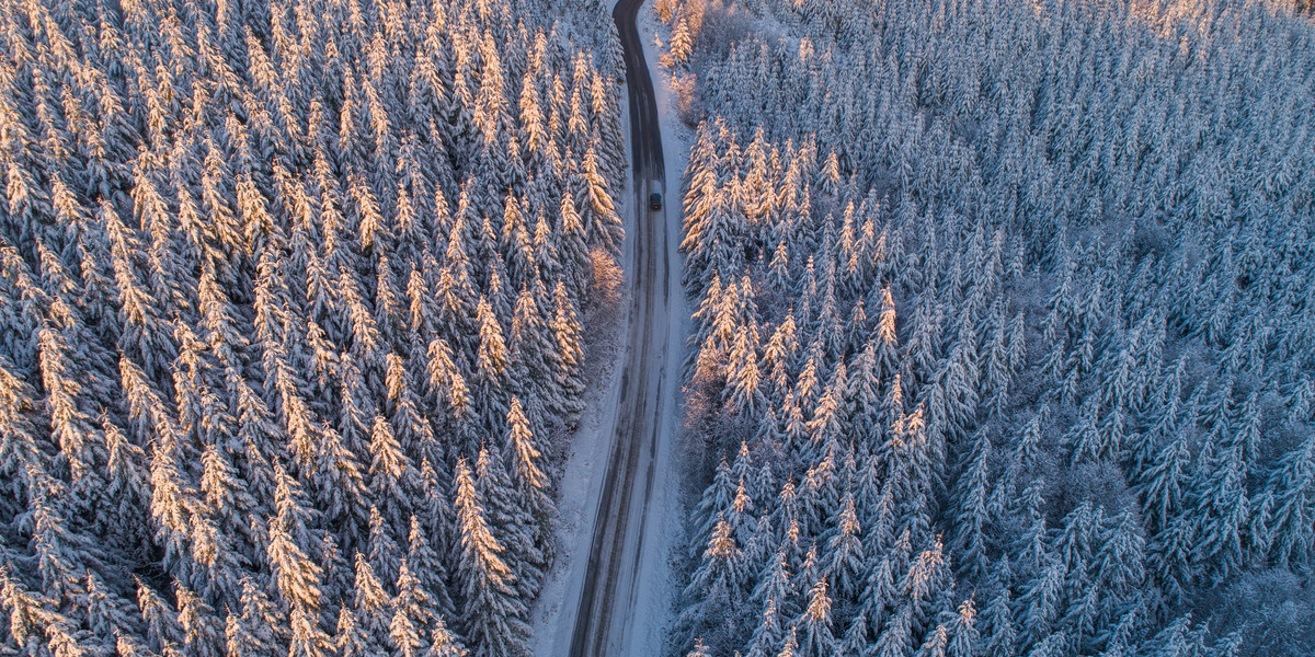 GARO utser Joe Ree som tillförordnad VD- och koncernchef