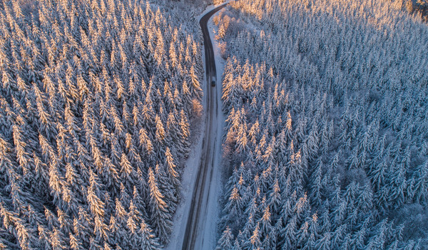 GARO utser Joe Ree som tillförordnad VD- och koncernchef